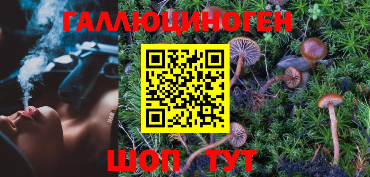 Псилоцибиновые грибы ЛСД  Вход с VPN  Псилоцибиновые грибы Psilocybe  Дальнегорск 